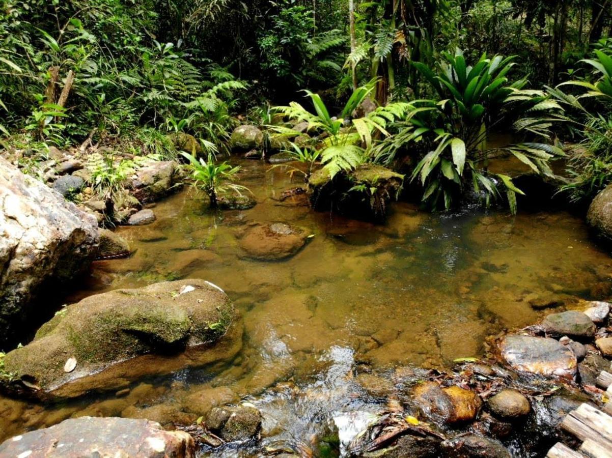 La Luciole Ecolodge Araquari Exteriér fotografie