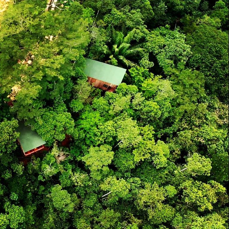 La Luciole Ecolodge Araquari Exteriér fotografie