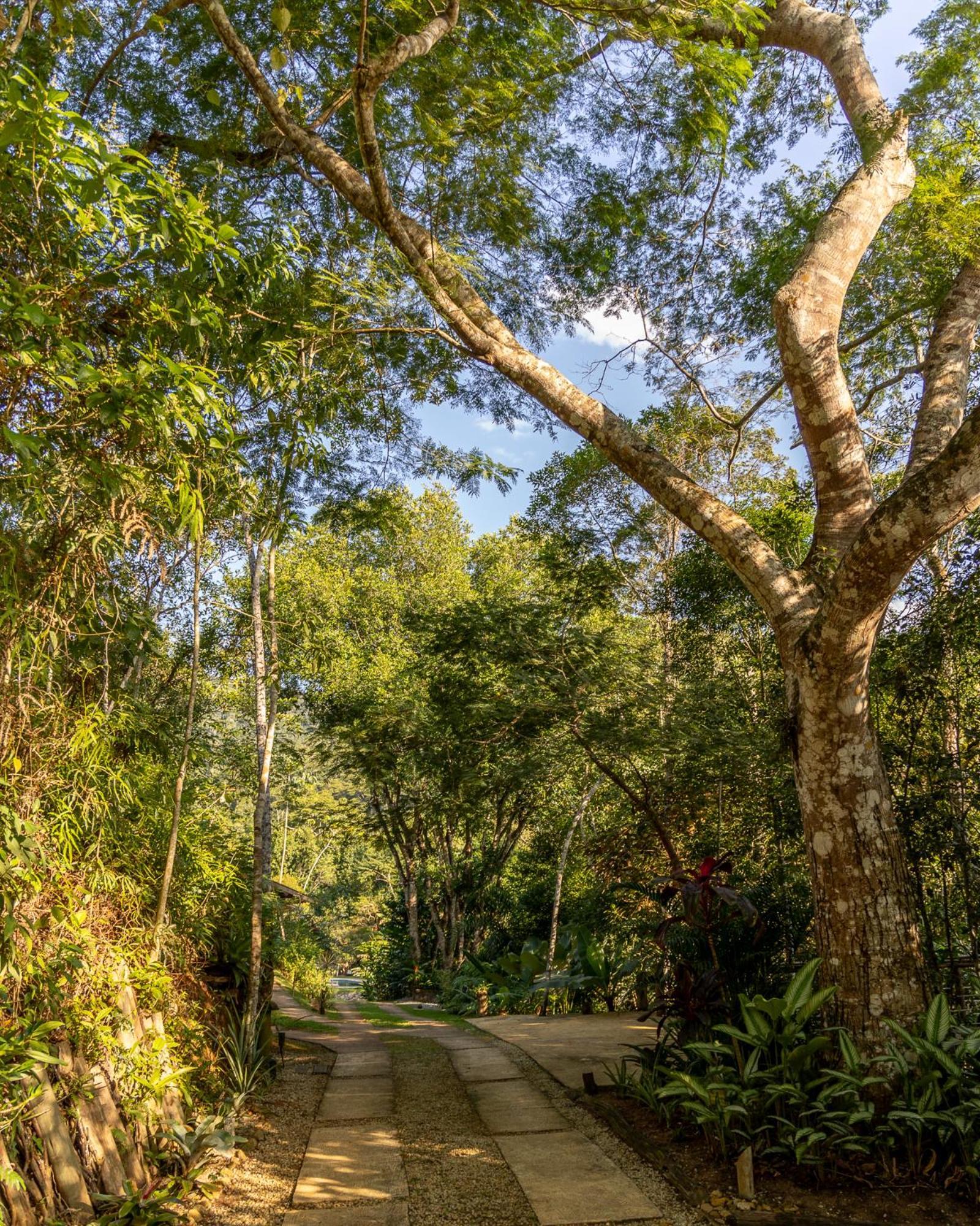 La Luciole Ecolodge Araquari Exteriér fotografie